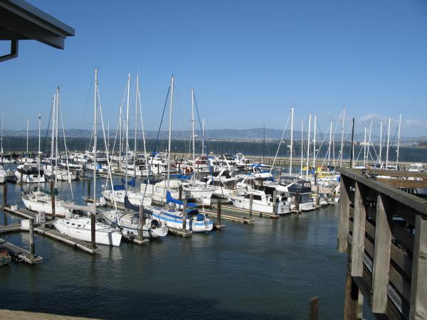 Bay Area Theatresports