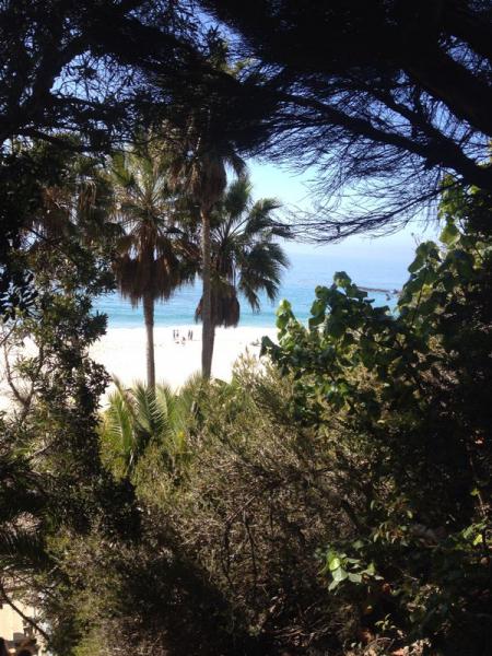 Flaure tropicale en bord de mer