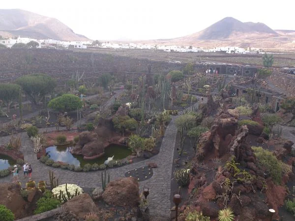 Jardin des Cactus