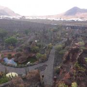 Découvrir les trésors immanquables de Lanzarote