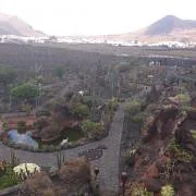 Découvrir les trésors immanquables de Lanzarote