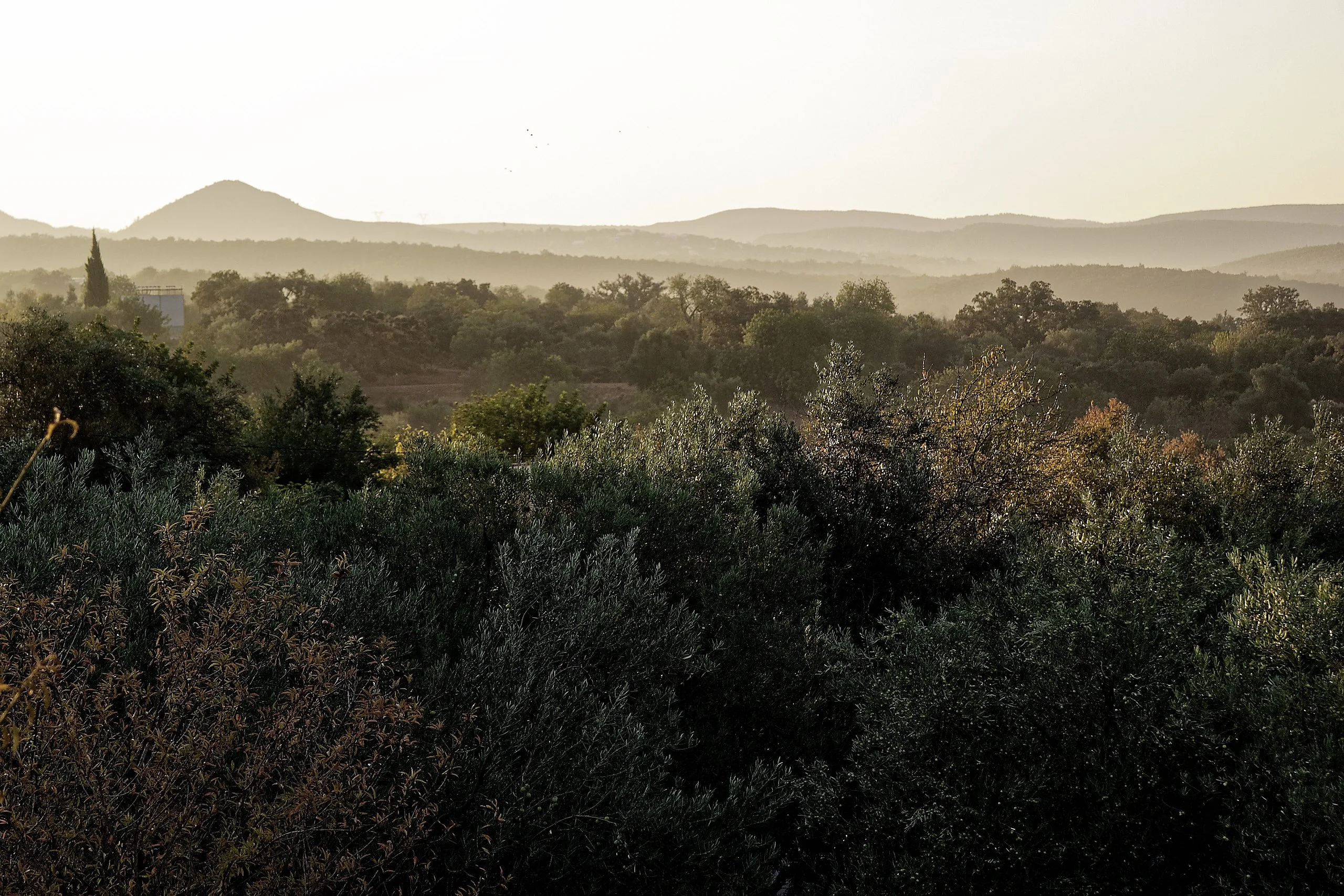 Séjour hors des sentiers battus à la Serra do Caldeirão