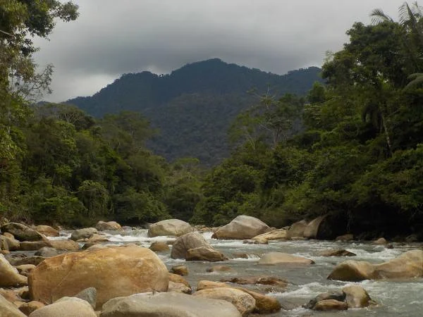 Au coeur de la forêt amazonienne Au coeur de la forêt amazonienne — Tena (Équateur)