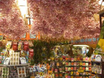 Un grand choix de plantes et de graines