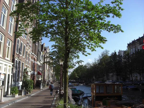 zoete leven in amsterdam — Église Saint-Nicolas d'Amsterdam (Pays-Bas)