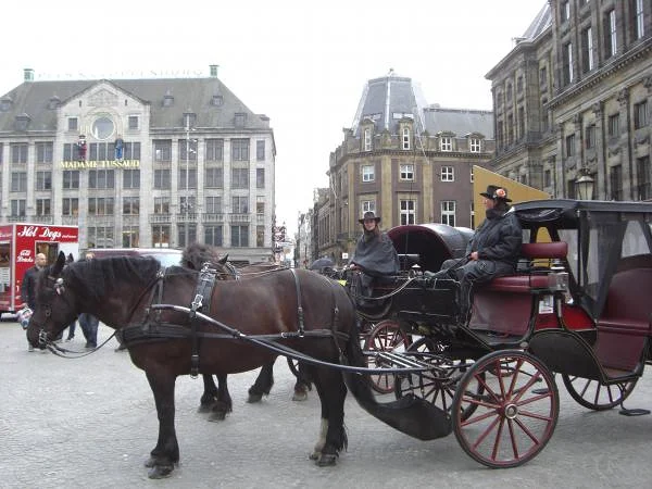 Calèche à chevaux place du Dam — Place du Dam (Pays-Bas)