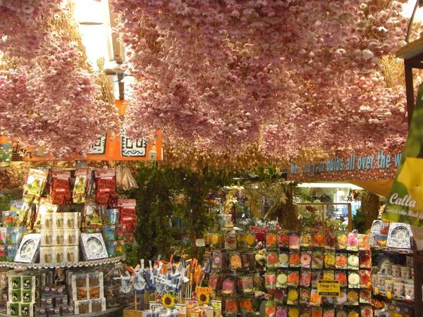 Un grand choix de plantes et de graines — Marché aux fleurs (Pays-Bas)