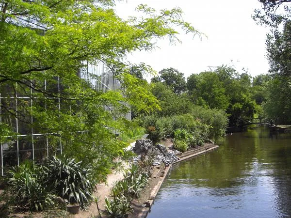 L'Hortus Botanicus d'Amsterdam — Amsterdam (Pays-Bas)