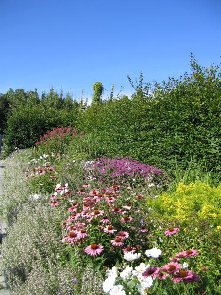 Maison des papillons