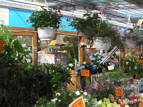Marché aux fleurs d'Amsterdam Marché aux fleurs d'Amsterdam — Marché aux fleurs (Pays-Bas)