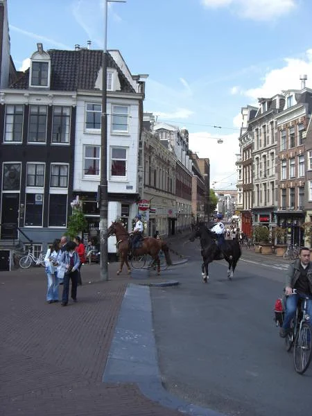 Arrestation par des policiers à cheval Arrestation par des policiers à cheval — Amsterdam (Pays-Bas)