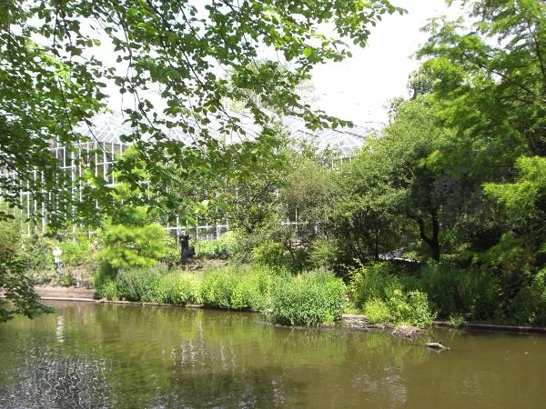 Le Jardin Botanique d'Amsterdam Le Jardin Botanique d'Amsterdam — Amsterdam (Pays-Bas)