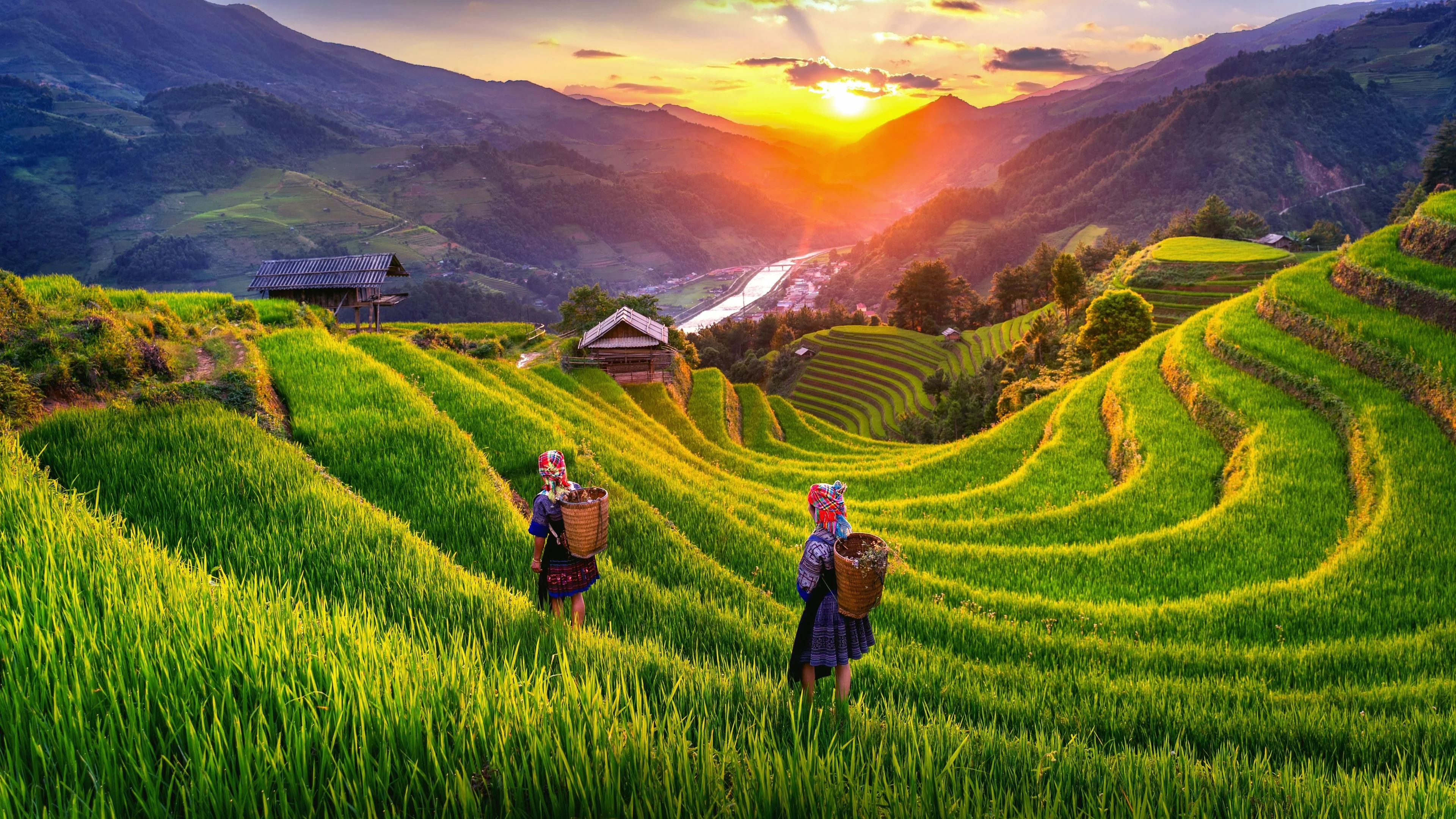 MU CANG CHAI