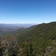 Randonnée en Sierra Norte de Oaxaca