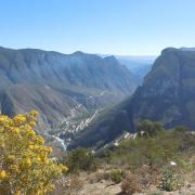 Tolantongo