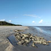 Plage de São Bento