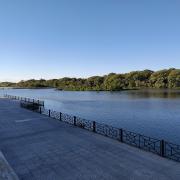 Réserve écologique Costanera Sur