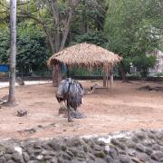Zoo de Santa Cruz