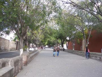 Calzada Fray Antonio de San Miguel