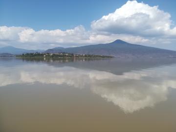 Reflets sur les eaux brunes du lac 