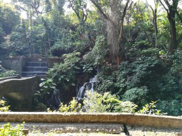 Le Parc National Barranca de Cupatitzio, poumon tropical d’Uruapan