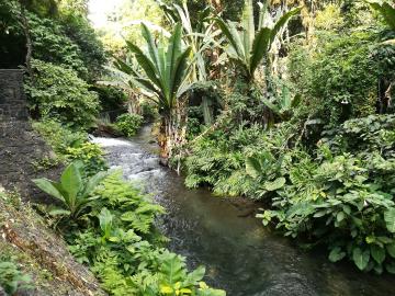 Le parc contient plus de 500 espèces de plantes tropicales différentes !