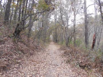 Le Camino Real