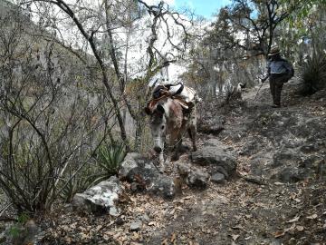 Les habitants des Pueblos Mancomunados