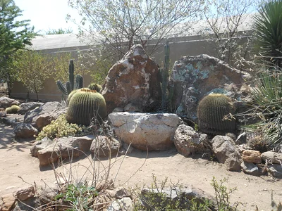 Sièges de belle-mère