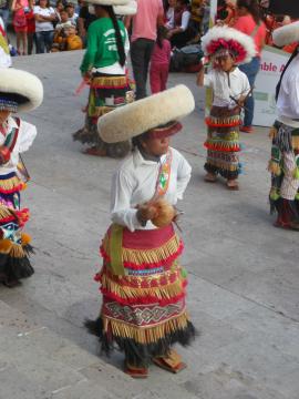 Danses huicholes