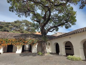 Patio del museo