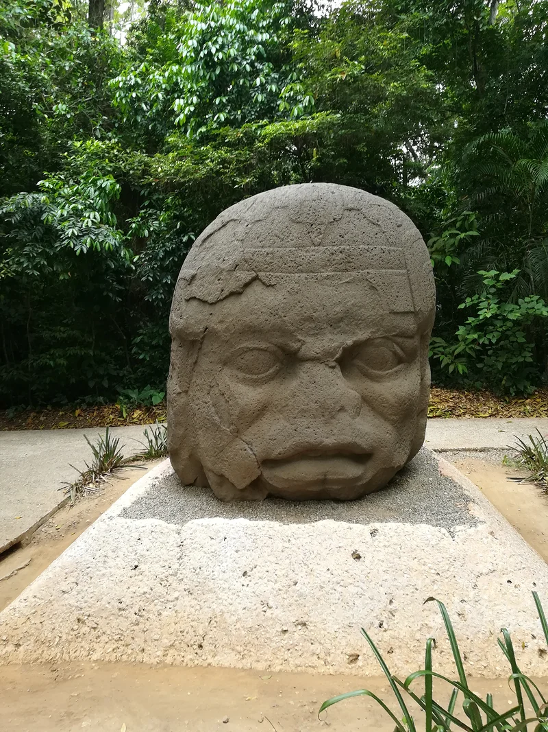 Tête olmèque 2 — Villahermosa (Mexique)