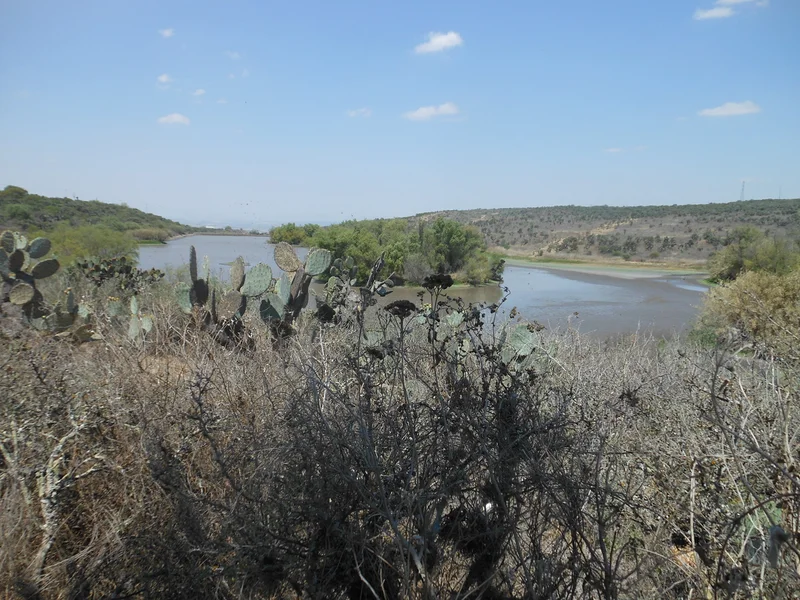 El Charco del Ingenio
