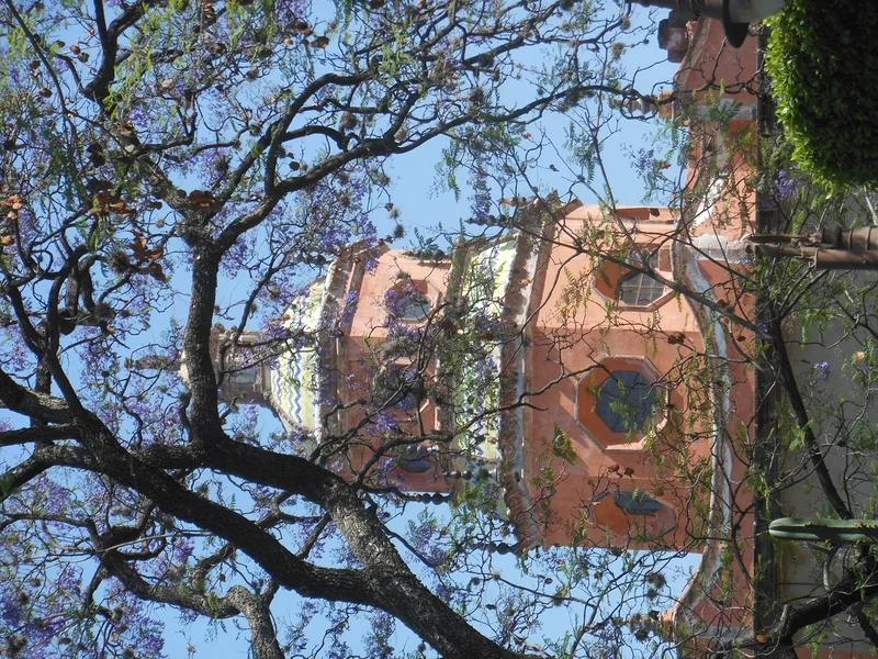 #22 San Miguel de Allende