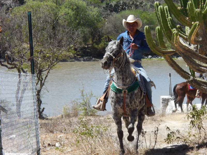 Un bel Hidalgo (Mexique)