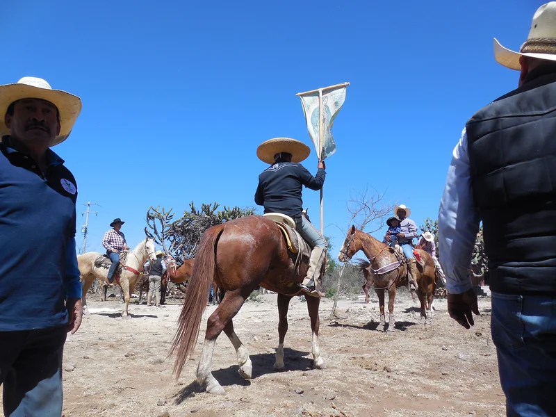 Pèlerinage religieux (Mexique)