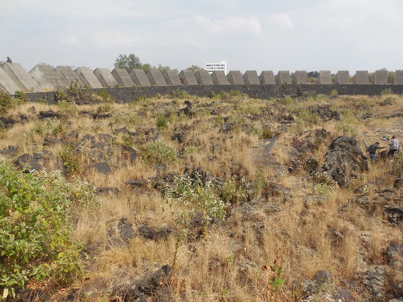 El Horizonte de las Estrellas — Université nationale autonome du Mexique (UNAM) (Mexique)