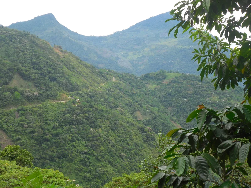 Zongolica — Orizaba (Mexique)