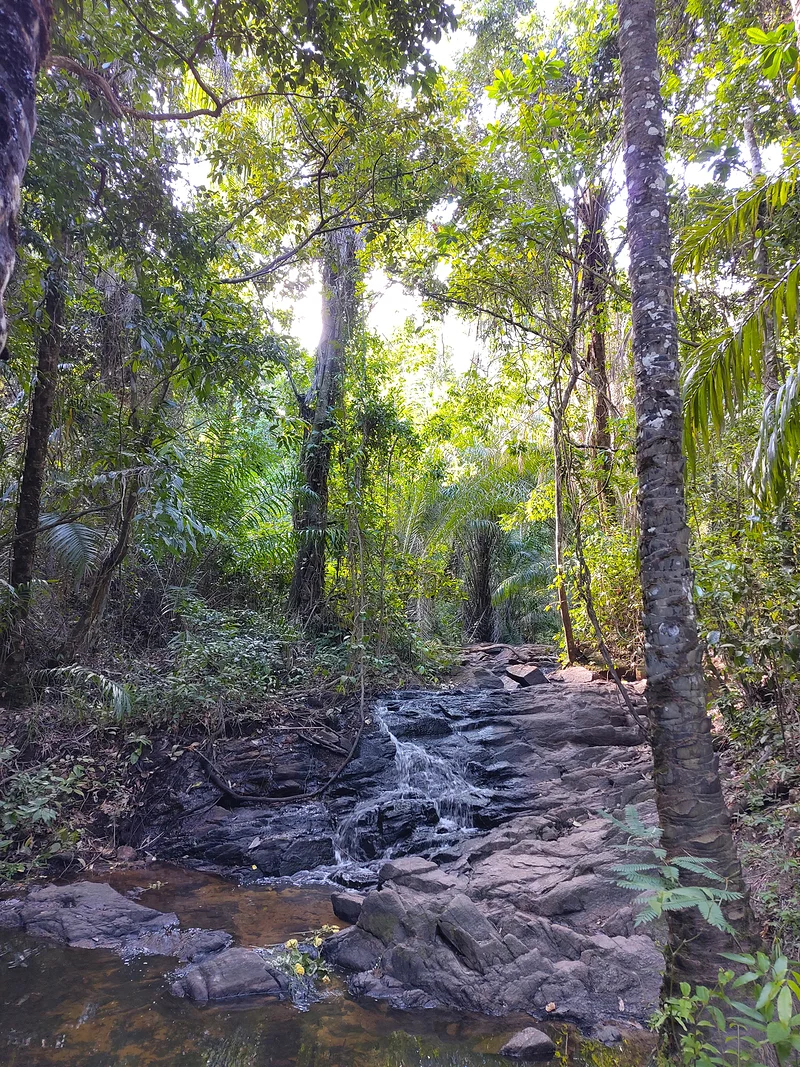 Réserve écologique de Sapiranga