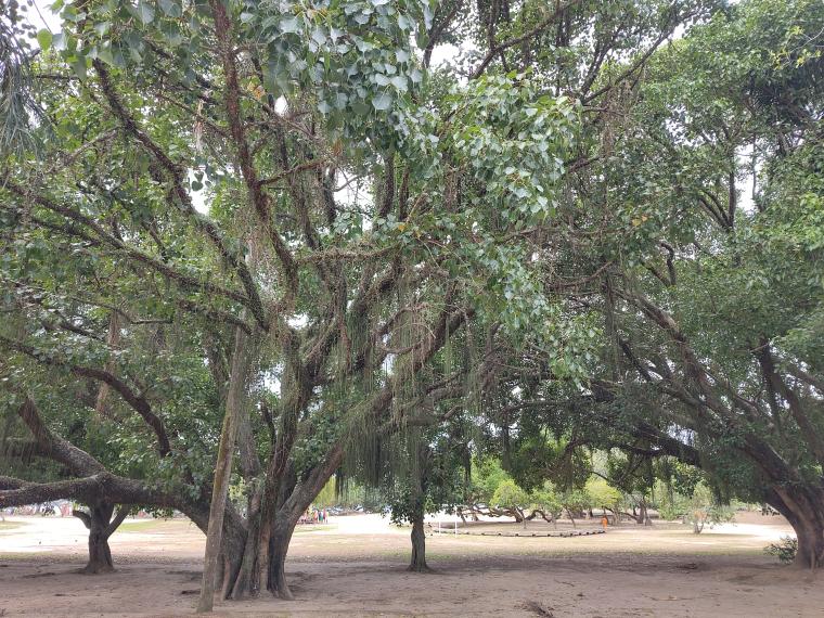 Parque Aterro do Flamengo