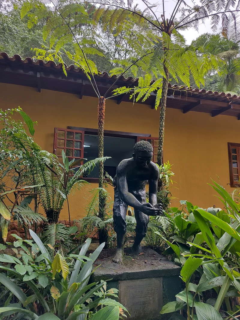 Forêt de Tijuca — Parc national de Tijuca (Brésil)