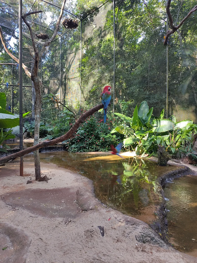 Parque das Aves (parc des oiseaux)