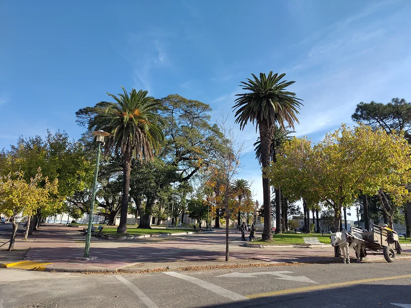 Plaza Artigas