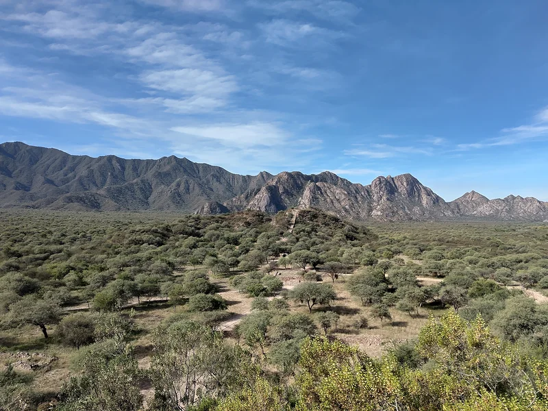 #16 Ruines de Shinkal