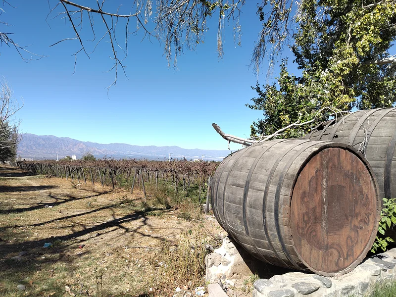 Cafayate — Cafayate (Argentine)