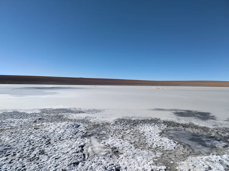 Laguna Kollpa — Quetena Chico (Bolivie)