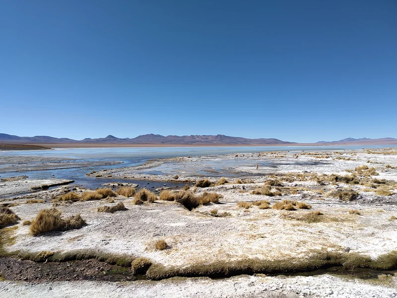 Termales de Polques — Quetena Chico (Bolivie)