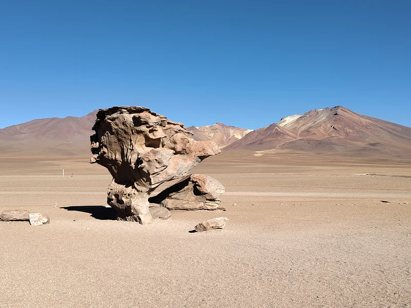 Arbol de piedra — Alota (Bolivie)