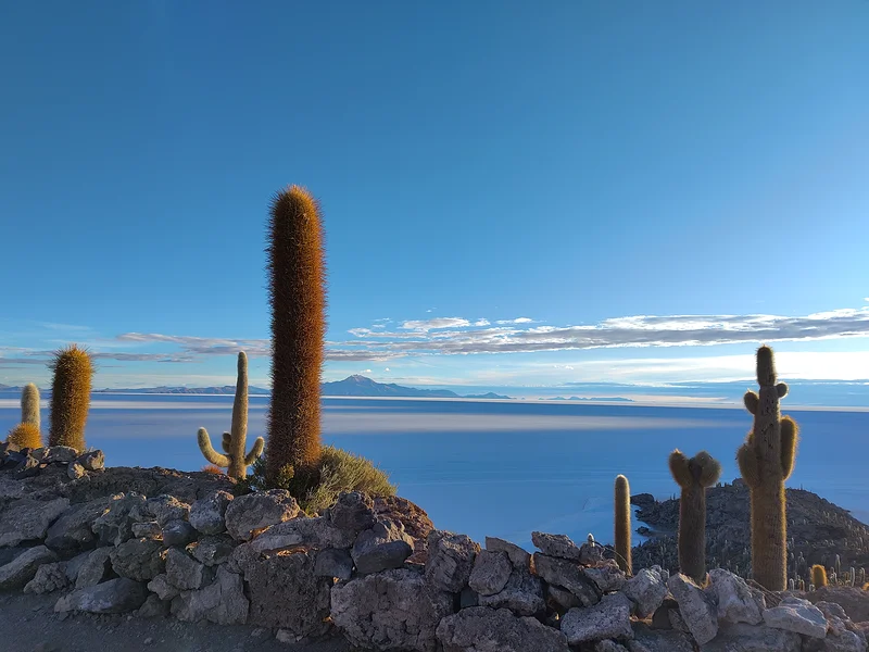 Isla Incahuasi — Salar de Uyuni (Bolivie)