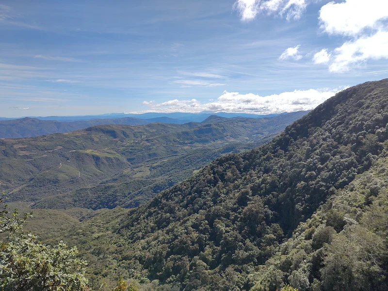 Parque Nacional Amboró  — Parc national Amboró (Bolivie)